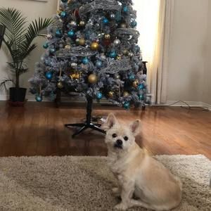 Meet your Posher, Glorie